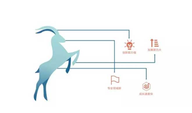 2018年高新區(qū)瞪羚企業(yè)名單公布——瑞盟兩度上榜